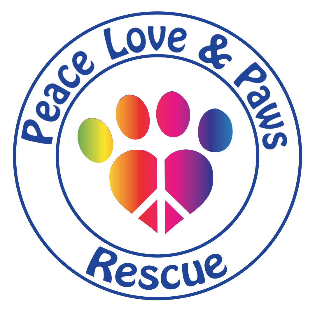 Featured image for “Peace Love & Paws Day”