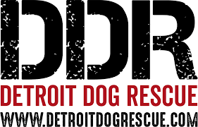 Featured image for “Detroit Dog Rescue Puppy Adoption Event!”